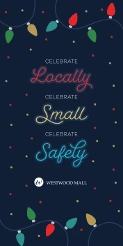 Holiday Lights Celebrate Safe