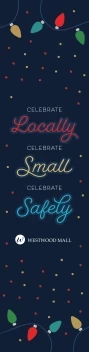 Holiday Lights Celebrate Safe