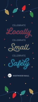 Holiday Lights Celebrate Safe