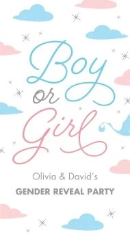 Pastel Clouds Gender Reveal Banner