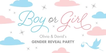 Pastel Clouds Gender Reveal Banner