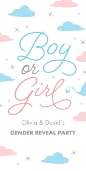 Pastel Clouds Gender Reveal Banner