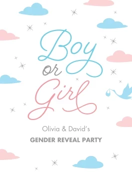 Pastel Clouds Gender Reveal Banner