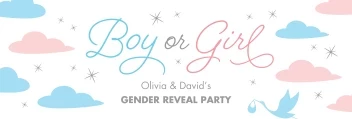 Pastel Clouds Gender Reveal Banner
