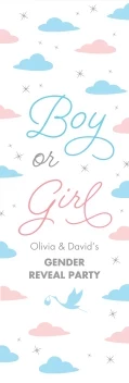 Pastel Clouds Gender Reveal Banner