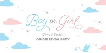 Pastel Clouds Gender Reveal Banner
