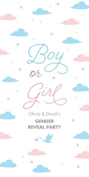 Pastel Clouds Gender Reveal Banner