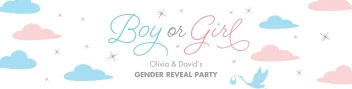 Pastel Clouds Gender Reveal Banner