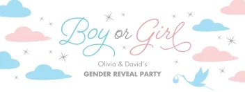 Pastel Clouds Gender Reveal Banner