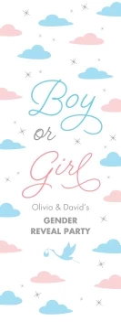 Pastel Clouds Gender Reveal Banner