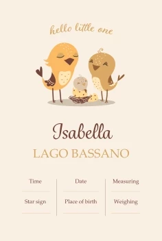 Hello Little One Announcement