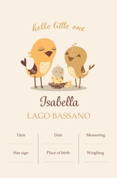 Hello Little One Announcement