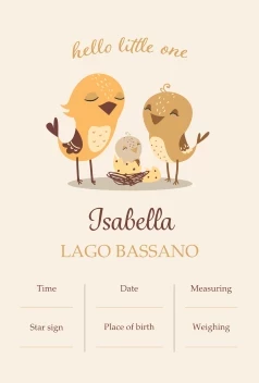 Hello Little One Announcement