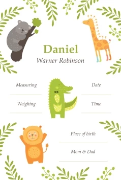 Safari Birth Announcement