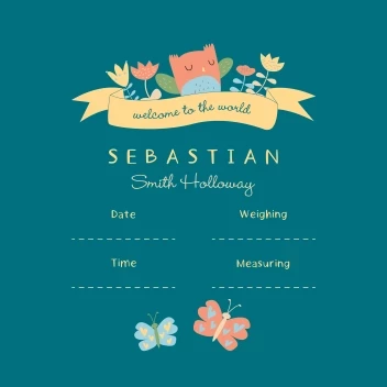 Welcome to the World Baby