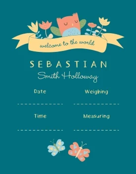 Welcome to the World Baby