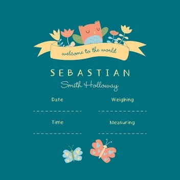 Welcome to the World Baby