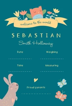 Welcome to the World Baby