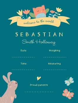 Welcome to the World Baby