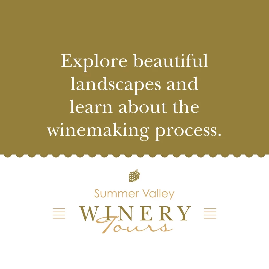 Wine Tasting Tour