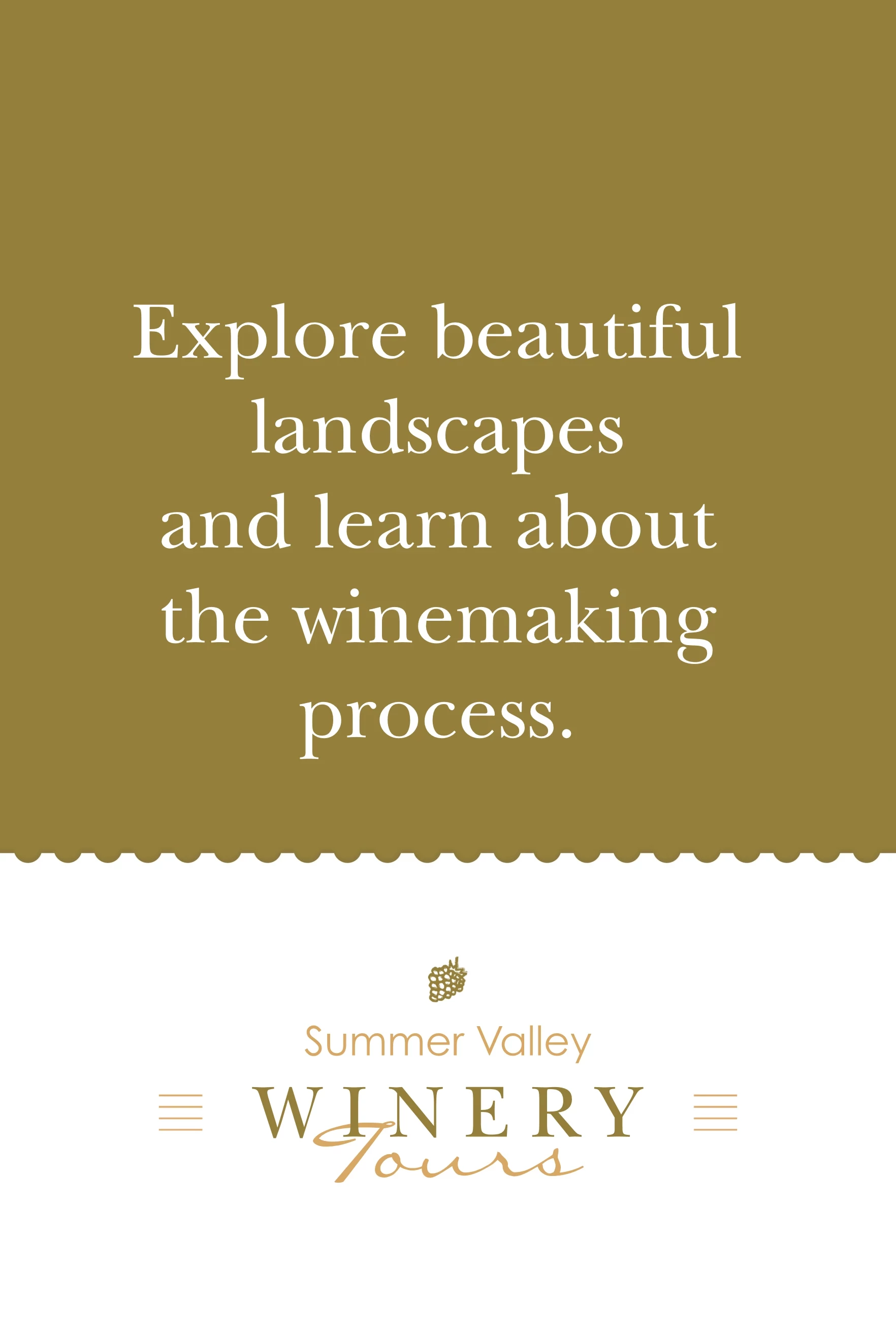 Wine Tasting Tour