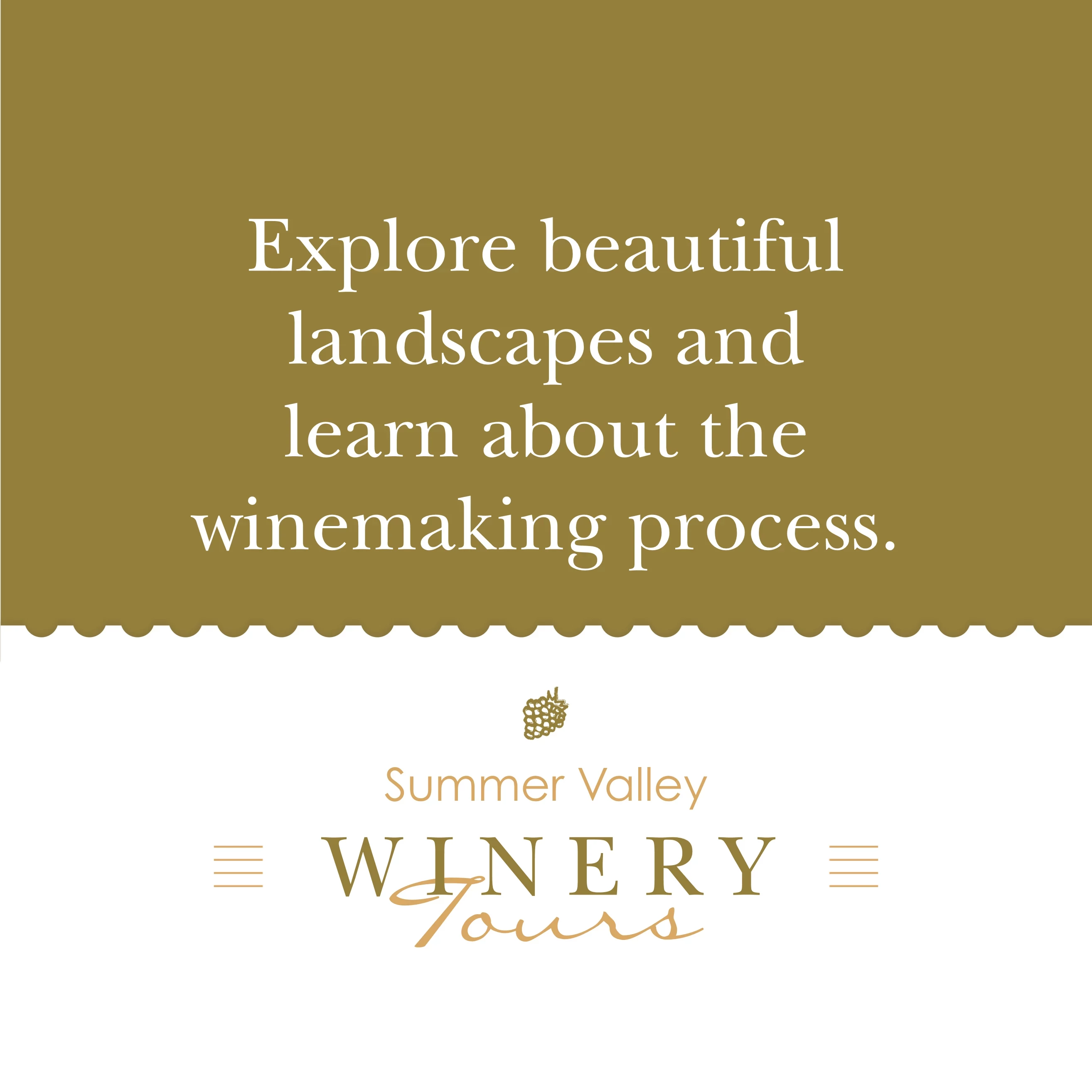Wine Tasting Tour