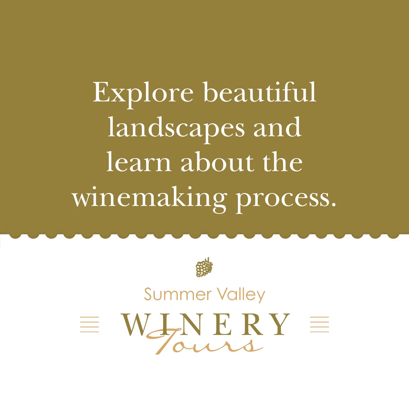 Wine Tasting Tour