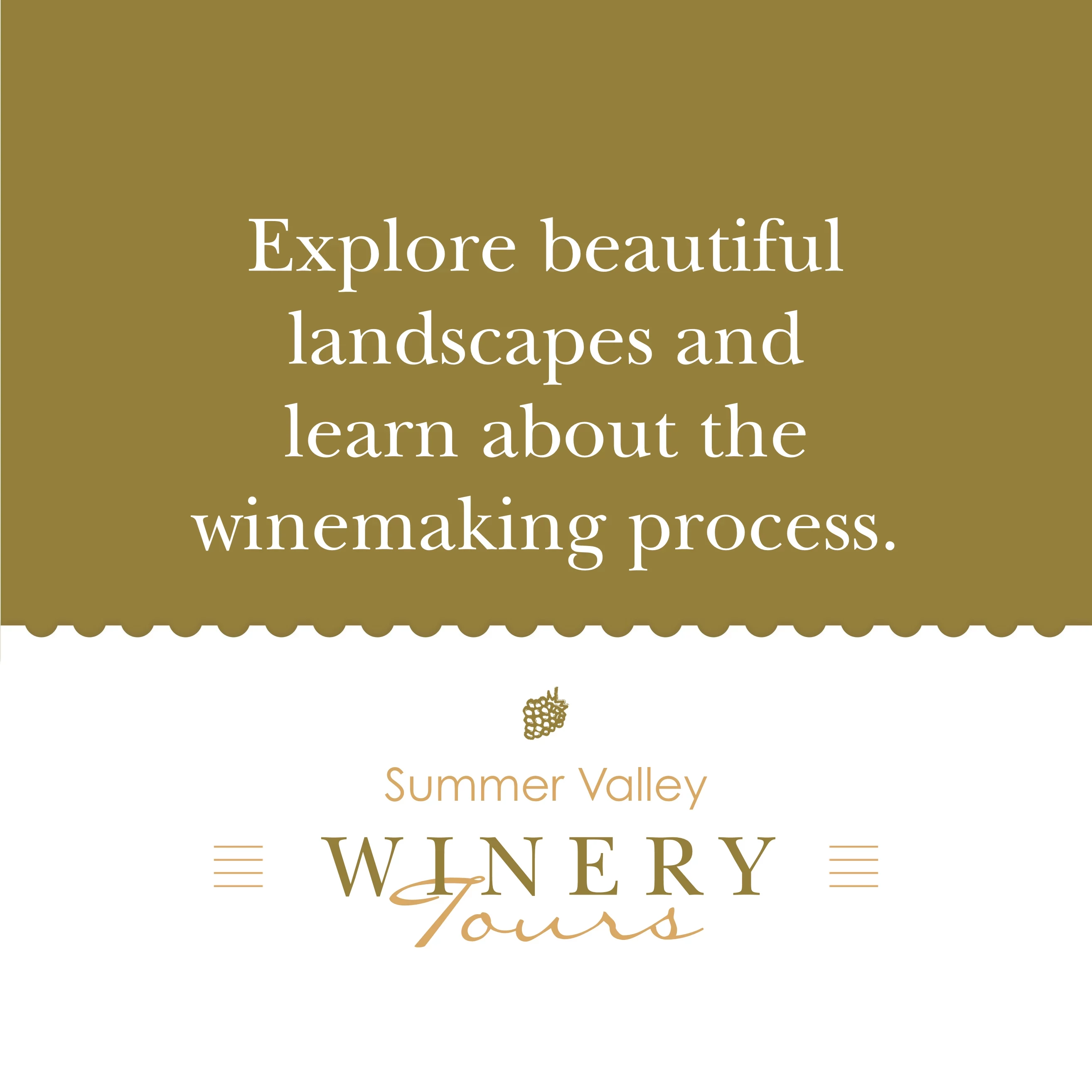 Wine Tasting Tour