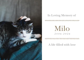 Goodbye My Feline Friend