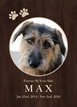 Paw Forever By Your Side