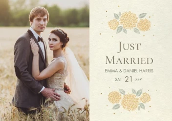 Dahlias Pastel Flowers