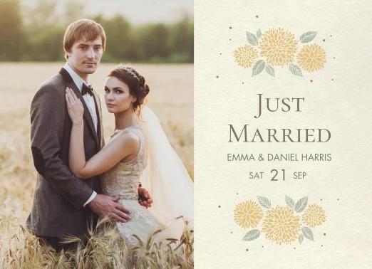 Dahlias Pastel Flowers