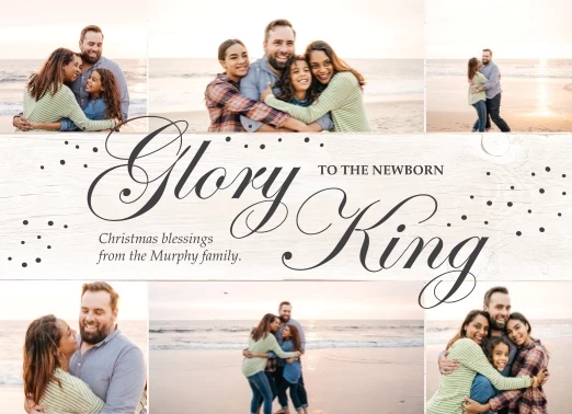 Newborn King Collage