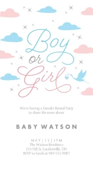 Little Clouds Gender Reveal