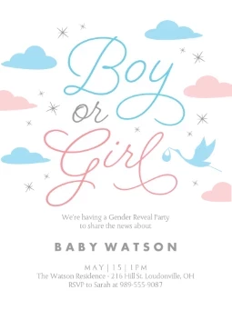 Little Clouds Gender Reveal