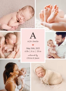 Baby Girl Initial Birth Announcement