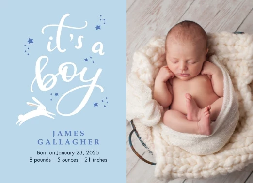 It's a Boy Bunny
