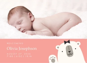 Little Bear Baby Girl