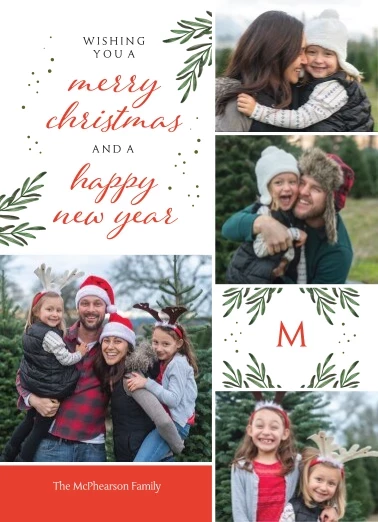 Family Christmas Sprigs