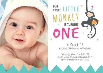 Sweet Monkey First Birthday