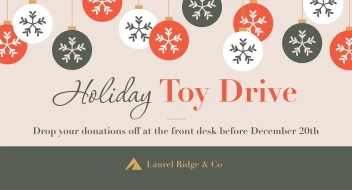 Holiday Toy Drive