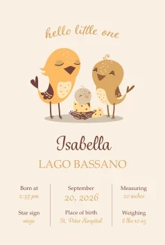 Hello Little One Announcement