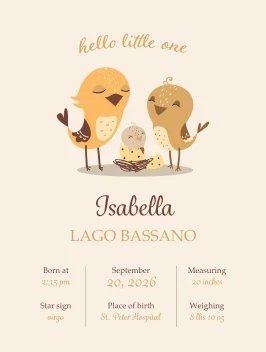 Hello Little One Announcement