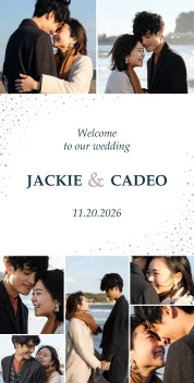 Dotted Frame Wedding