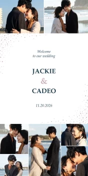 Dotted Frame Wedding