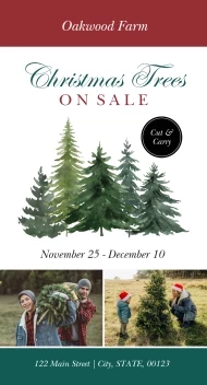 Christmas Tree Farm