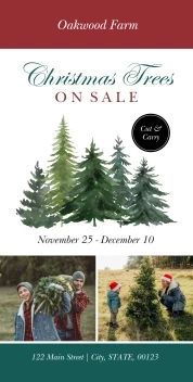 Christmas Tree Farm