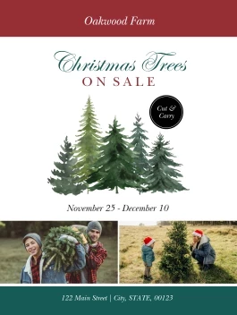 Christmas Tree Farm