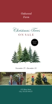 Christmas Tree Farm