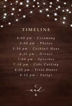 Fairy Lights Program